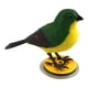 thumbnail image 1 of Juguetes Educativos De Música De Pájaro Controlado Con Voz Para Niños Parrot Para Bebés Para Bebés, 1 of 5