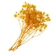 thumbnail image 2 of Hojas prensadas Flores secas naturales Tarjetas Scrapbooking haciendo amarillo, 2 of 5