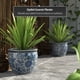 thumbnail image 2 of Maceta Red Lantern 14 de porcelana azul y blanca con estampado floral, 2 of 6