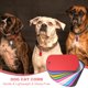 thumbnail image 5 of Uxcell Etiquetas de identificación para mascotas Etiqueta de perro personalizada Rectángulo con llavero 2 x 1.14 pulgadas Rosa 20 piezas, 5 of 7