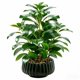 thumbnail image 1 of Planta Artificial Ewtogift 41 cm Maceta Negra con Ribete, 1 of 8