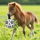 thumbnail image 4 of Pelota de fútbol para perros Amasiver de 23 cm, juguete interactivo de tira y afloja, 4 of 7
