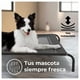 thumbnail image 2 of Cama Elevada para tu Perro con Malla Transpirable 122*72*21cm, 2 of 3
