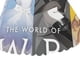 thumbnail image 4 of RWBY Mantel Redondo con Estampado Icónico de Temática, Se Adapta a la Mayoría de Mesas, Fácil de Cuidar, Regalo Perfecto para Aficionados, Amigos y Familia.180cm, 4 of 5