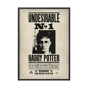 Creango - Cuadro Poster Enmarcado Harry Potter Indeseable Numero 1 Decorativo