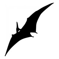 Rienda Libre Graphics - Decomural Flying Pterodactyl Dinosaur Ws-15265