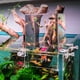 thumbnail image 1 of VIVARIUM NestBasics 19 cm × 13 cm × 12 cm Auto‑recarga, 1 of 7
