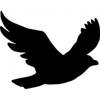 Rienda Libre Graphics - Decomural Seagull Bird Ws-33490