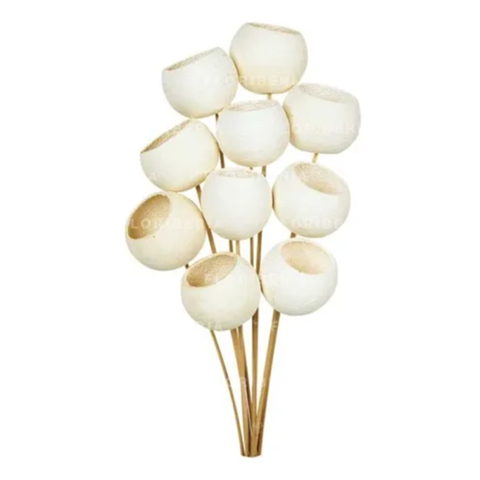 Genérico - Bell Cup Flores Ornamentales Campana Seca Boho