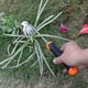 thumbnail image 2 of Sacahierbas SIXCAR 13.3 Acero Inoxidable Mango Largo, 2 of 3