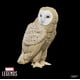 thumbnail image 4 of Figura de acción Marvel Legends Series Marvel's Owl 15 cm, 4 of 6