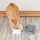 thumbnail image 4 of Cat Bowls Kitty City, orejas de gato levantadas, paquete de 2 unidades, 200 ml (modernas), 4 of 5