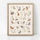thumbnail image 2 of Póster con números del alfabeto para guardería, impresión de animales, arte de pared para niños, pintura en lienzo nórdico, imagen de bosque, decoración del hogar para habitación de bebé, 40 x 60 cm x, 2 of 6