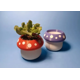 thumbnail image 2 of Figura decorativa Mini maceta - Honguito, 2 of 3