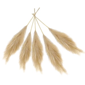 Magideal - Decoración De Ramas De Hierba Artificial , 5 Tallos, 27 Pulgadas, Simulación De Flores Secas, Decoración De Habitación, Ramo Para Jarrón, Boda, D , Marrón Claro