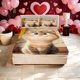 thumbnail image 1 of Cat Sitting Still Print Fitted Sheet Bedding/2 Pillowcases/1 Fitted Sheet/Twin Bed/Full Bed/Queen Bed/King Bed - - Soft And Skin-Friendly/r - Snu, 1 of 1