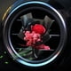 thumbnail image 4 of Ambientador Para Coche Mini Ramo De Flores Secas, 4 of 5
