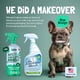 thumbnail image 2 of Limpiador enzimático Miracle Stain & Odor para mascotas, 946 ml, Sunny & Honey, 2 of 8