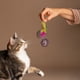 thumbnail image 2 of Set 5 Juguetes Interactivo Con Plumas Mascotas Estimular Lau, 2 of 3