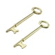 thumbnail image 1 of Juego de 2 llaves esqueleto Lucky Line con punta plana y punta con muesca, 8 cm, 1 of 5
