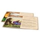 thumbnail image 3 of La expansión de juegos de mesa es mayor que la de Games Spirit Island, 3 of 3