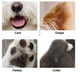 thumbnail image 2 of Maquina Para Rebaje Mascotas, Perros Y Gatos, Usb Y Con Luz, 2 of 2