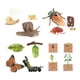 thumbnail image 1 of Juguetes De Aprendizaje Del Ciclo De Vida Preescolar Para Contar Historias Regalos De Cumpleaños Juego De Rol Estilo C, 1 of 3