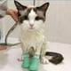 thumbnail image 3 of Zapatos para gatos resistentes a arañazos, guantes de goma ajustables, protección contra garras, baño y afeitado, 4 piezas, 3 of 5