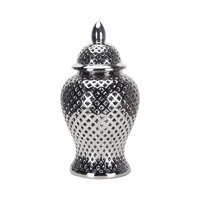 Bothyi - Tarro De Cerámica Decorativo Para Jengibre, Tarro De Almacenamiento De Porcelana Artesanal, Florero De Plata