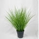 thumbnail image 1 of Planta Decorativa Pasto Con Caida Verde 45 Cm, 1 of 2