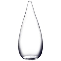 Bothyi - Encimera De Escritorio Creativa De Jarrón De Brotes De Vidrio Para Dormitorio, Vacaciones, Aniversario, Grande