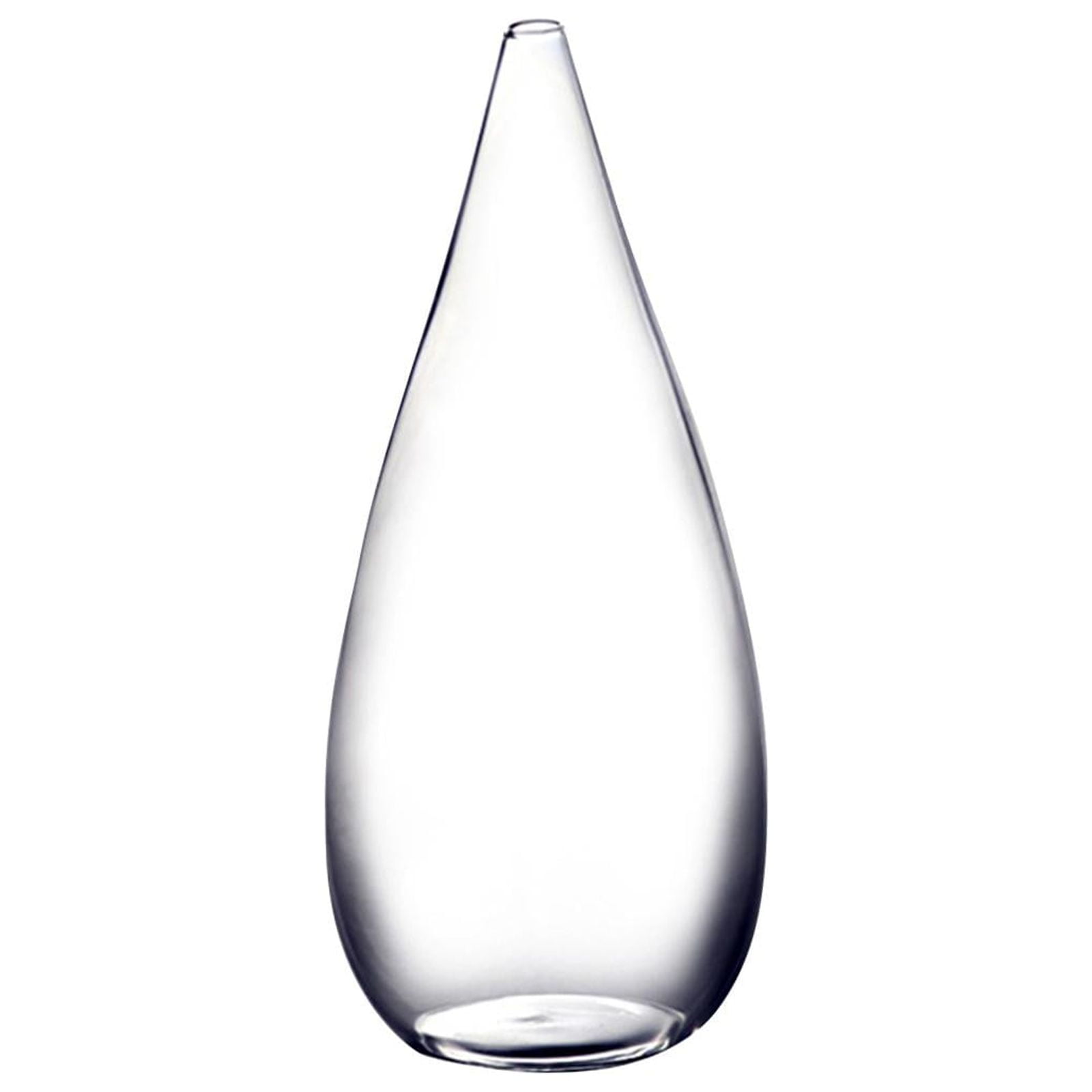 Bothyi - Encimera De Escritorio Creativa De Jarrón De Brotes De Vidrio Para Dormitorio, Vacaciones, Aniversario, Grande