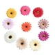 thumbnail image 2 of 10 piezas de gerbera artificial margarita flores cabezas para bricolaje mezclado, 2 of 3