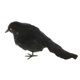 thumbnail image 3 of plumas artificiales cuervos peque?os pájaros cuervos accesorios decoración de Halloween # 2 negro, 3 of 3