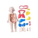 thumbnail image 3 of Rompecabezas de cuerpo humano, juego de enseñanza, partes del cuerpo, modelo de órganos para herramienta de enseñanza, niños, niñas, niños, regalo de, 3 of 5