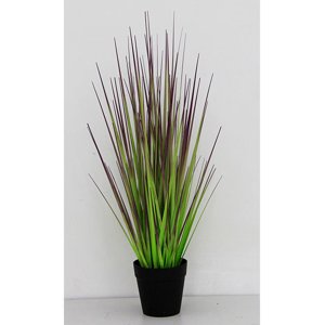 Corel - Planta Decorativa Pasto Cebolla Morado 91 Cm