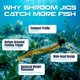 thumbnail image 3 of Cabezales de Jig Reaction Tackle 3 g Negro (paquete de 25), 3 of 7