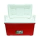 thumbnail image 2 of NEVERA IGLOO LAGUNA 45L, 2 of 3