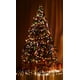 thumbnail image 5 of Luces navideñas PHILIPS, 50 LED, blanco cálido, C9, cadena de 8 m, 5 of 6