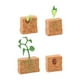 thumbnail image 3 of Ciclo De Vida De La Planta Verde Cultivada Montessori Para Niños Y Niñas En Edad Preescolar, 3 of 5