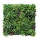 thumbnail image 1 of Jardin Vertical Papua, 1 of 4
