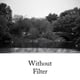 thumbnail image 2 of Filtro Tiffen 52 mm 21 naranja para imágenes en blanco y negro, 2 of 3