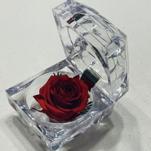 Allpa-Roseamor - Joyero Mini Con Rosa Preservada Natural Rojo