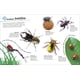 thumbnail image 3 of Libro de stickers DK Los insectos definitivos, 3 of 7
