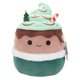 thumbnail image 1 of Juguete de peluche Squishmallows Original Ernesto The Peppermint Latte, 1 of 6