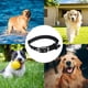 thumbnail image 5 of Collar de perro de lujo de nailon de doble grosor, 5 of 5