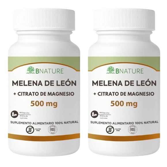 Pack x2 Melena de Leon 500mg | Memoria y Concentración