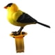 thumbnail image 4 of Juguetes Educativos De Música De Pájaro Controlado Con Voz Para Niños Parrot Para Bebés Para Bebés, 4 of 5