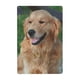 thumbnail image 1 of Cartel de Metal Decorativo Golden Retriever Desmarcar 30x20 cm, 1 of 6