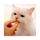 thumbnail image 5 of Churu Fun Bites Cat Pollo 20g x3 | Snack Cremoso Gato, 5 of 6
